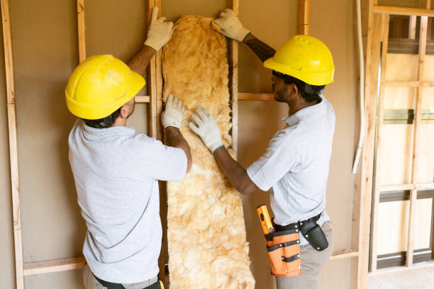 Professional Insulation in La Conner, WA